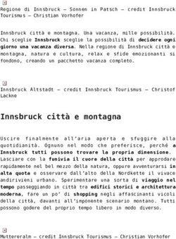 Innsbruck citt&agrave; e montagna - Il Viaggiatore-Magazine