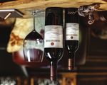 Monteverro, una tenuta d'eccellenza nel panorama vitivinicolo internazionale