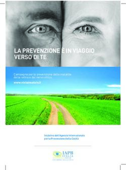 LA PREVENZIONE &Egrave; IN VIAGGIO VERSO DI TE - www.vistainsalute.it Campagna per la prevenzione delle malattie della retina e del nervo ottico.