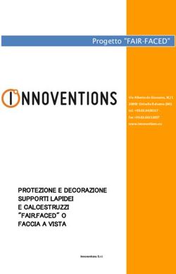 PROTEZIONE E DECORAZIONE SUPPORTI LAPIDEI E CALCESTRUZZI "FAIR.FACED" O FACCIA A VISTA - Astepon