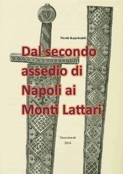 Dal secondo assedio di Napoli ai Mon La ari - Nicola Kapetanidi - Vesuvioweb 2018 - vesuvioweb 2018.pub