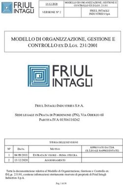 MODELLO DI ORGANIZZAZIONE, GESTIONE E CONTROLLO EX D.LGS. 231/2001 231