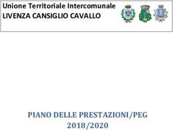 Unione Territoriale Intercomunale - LIVENZA CANSIGLIO CAVALLO - PIANO DELLE PRESTAZIONI/PEG 2018/2020