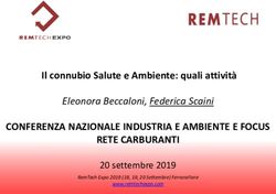 CONFERENZA NAZIONALE INDUSTRIA E AMBIENTE E FOCUS RETE CARBURANTI - Il connubio Salute e Ambiente: quali attività Eleonora Beccaloni, Federica ...