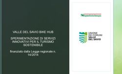 VALLE DEL SAVIO BIKE HUB SPERIMENTAZIONE DI SERVIZI INNOVATIVI PER IL TURISMO SOSTENIBILE - finanziato dalla Legge regionale n. 14/2014