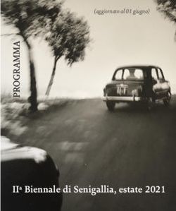 IIa Biennale di Senigallia, estate 2021 - (aggiornato al 01 giugno) - Serge Plantureux