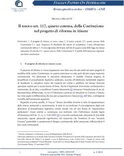 Il nuovo art. 117, quarto comma, della Costituzione nel progetto di riforma in itinere