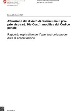 Attuazione del divieto di dissimulare il pro- prio viso (art. 10a Cost.): modifica del Codice penale