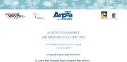 LA CRITICIT&Agrave; VALANGHE E L'ALLERTAMENTO DEL TERRITORIO - Secondo Barbero, Arpa Piemonte - SNPA ...