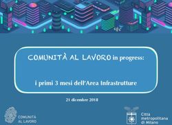 COMUNIT&Agrave; AL LAVORO in progress: i primi 3 mesi dell'Area Infrastrutture 21 dicembre 2018 - piattaforma