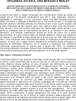 INFLUENZA AVIARIA, UNA MINACCIA REALE?