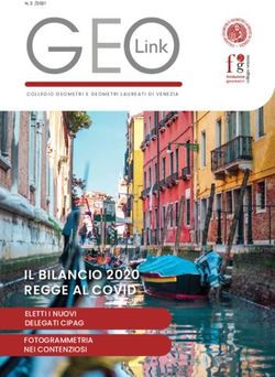 IL BILANCIO 2020 REGGE AL COVID - ELETTI I NUOVI DELEGATI CIPAG FOTOGRAMMETRIA NEI CONTENZIOSI - Collegio Geometri di ...