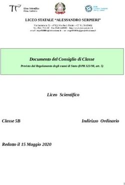 Documento del Consiglio di Classe Liceo Scientifico Classe 5B
