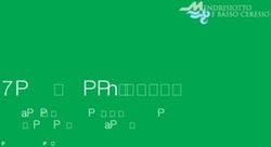 Piano attività 2017. Relazioni a preventivo e a consuntivo della Direttrice all'attenzione dell'Assemblea - Mendrisiotto Turismo