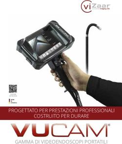 PROGETTATO PER PRESTAZIONI PROFESSIONALI COSTRUITO PER DURARE - GAMMA DI VIDEOENDOSCOPI PORTATILI - Fiber Optic Italia