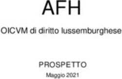 AFH OICVM di diritto lussemburghese - PROSPETTO - Sella SGR