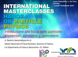 Introduzione alla fisica delle particelle elementari: simmetrie e asimmetrie - Liceo Da Vinci