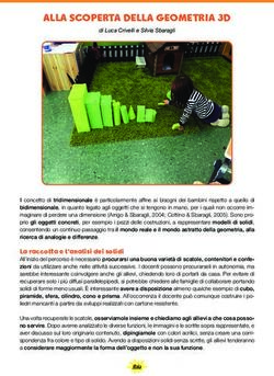 ALLA SCOPERTA DELLA GEOMETRIA 3D - Missione Insegnante
