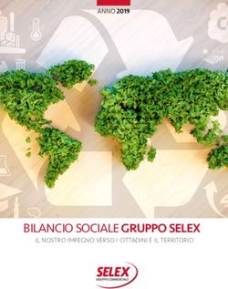 BILANCIO SOCIALE GRUPPO SELEX - ANNO 2019 - IL NOSTRO IMPEGNO VERSO I CITTADINI E IL TERRITORIO - ConsumerLab