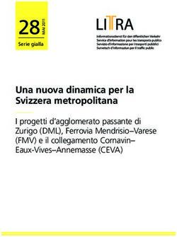 28 Una nuova dinamica per la Svizzera metropolitana - I progetti d'agglomerato passante di Zurigo (DML), Ferrovia Mendrisio-Varese (FMV) e il ...