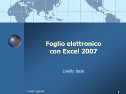 Foglio elettronico con Excel 2007 - Livello base Livia G. Garzanti