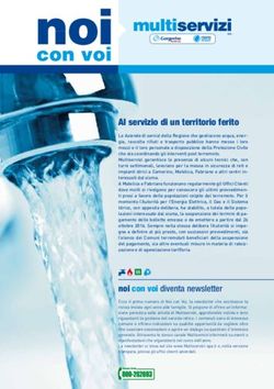 AL SERVIZIO DI UN TERRITORIO FERITO - VIVA SERVIZI SPA