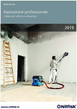 Aspirazione professionale - Ideale per edilizia e artigianato 2019 - Todesco srl