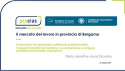 Il mercato del lavoro in provincia di Bergamo - Il mismatch tra domanda e offerta di professionalità. I bisogni formativi del territorio, le ...