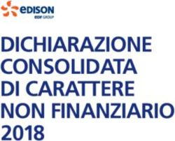 DICHIARAZIONE CONSOLIDATA DI CARATTERE NON FINANZIARIO 2018
