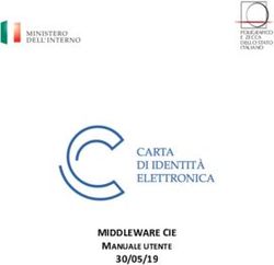 MIDDLEWARE CIE MANUALE UTENTE 30/05/19 - Manuale d'uso del middleware CIE 1.3