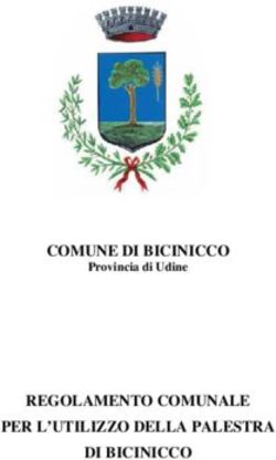 COMUNE DI BICINICCO REGOLAMENTO COMUNALE PER L'UTILIZZO DELLA PALESTRA DI BICINICCO - Provincia di Udine