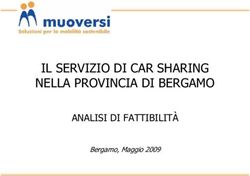 IL SERVIZIO DI CAR SHARING NELLA PROVINCIA DI BERGAMO - ANALISI DI FATTIBILIT&Agrave; Bergamo, Maggio 2009