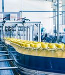 L'importanza di un approccio ecosistemico alle iniziative di Industry 4.0 - Una fotografia del settore manifatturiero italiano - Deloitte
