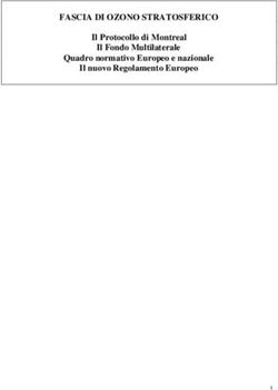 FASCIA DI OZONO STRATOSFERICO - Il Protocollo di Montreal Il Fondo Multilaterale Quadro normativo Europeo e nazionale Il nuovo Regolamento Europeo