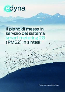 Il piano di messa in servizio del sistema smart metering 2G (PMS2) in sintesi - EDYNA