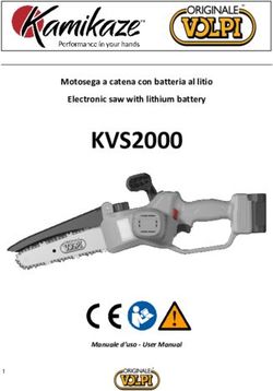 KVS2000 Motosega a catena con batteria al litio Electronic saw with lithium battery - Volpi Originale
