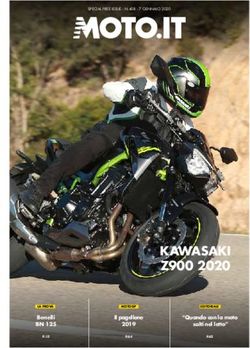 KAWASAKI Z900 2020 - Moto.it