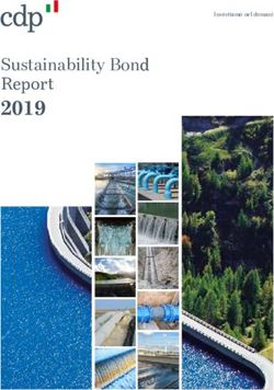 2019 Sustainability Bond Report - Investiamo nel domani