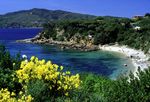PIANO OPERATIVO anno 2020 - Parco Nazionale Arcipelago ...