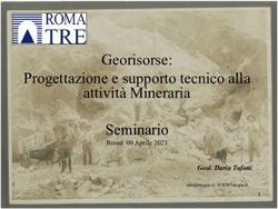 Georisorse: Progettazione e supporto tecnico alla attività Mineraria Seminario - Geol. Dario Tufoni