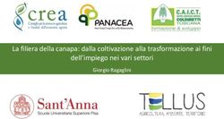 La filiera della canapa: dalla coltivazione alla trasformazione ai fini dell'impiego nei vari settori - Giorgio Ragaglini - PANACEA H2020