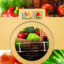 SEMENTI ORTICOLE PROFESSIONALI - www.bvsitalia.it scopri tutto su