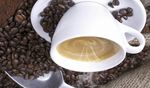 TECNOLOGIA DELLA SEPARAZIONE FLOTTWEG PER LA PRODUZIONE DI CAFF&Egrave; ISTANTANEO - Approfitta del potenziale, massimizza la resa
