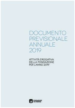 DOCUMENTO PREVISIONALE ANNUALE 2019 - Attività erogativa della Fondazione per l'anno 2019 - Fondazione CR Firenze