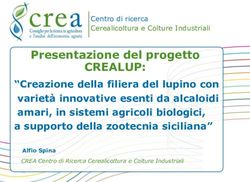 CREALUP: Presentazione del progetto - CSEI Catania