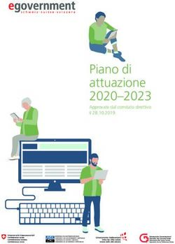 Piano di attuazione 2020-2023 - Approvate dal comitato direttivo il 28.10.2019 - egovernment.ch