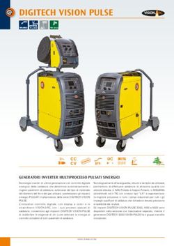 DIGITECH VISION PULSE - Elsa Elettrodi