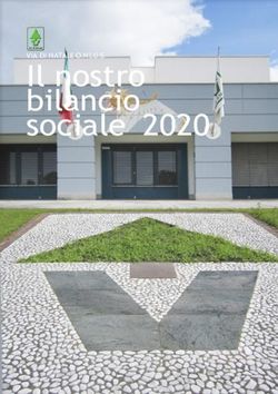 Il nostro bilancio sociale 2020 - VIA DI NATALE O.N.L.U.S.