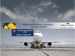 I PROGETTI METROPOLITANI - L'AEROPORTO - L. MANTECCHINI - CDA SAB PTCP CONVEGNO STATO ATTUAZIONE - CITT&Agrave; METROPOLITANA DI BOLOGNA