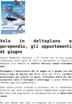 Deltaplano - Il Mascalzone